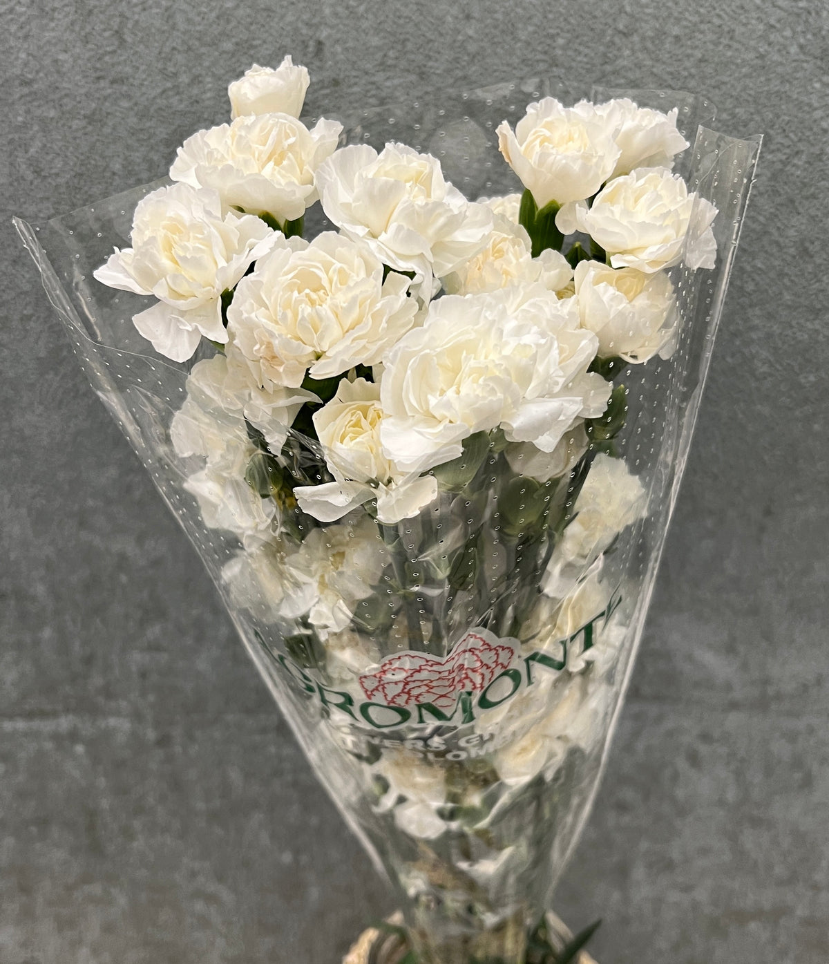 Carnation Mini White Bu(10)