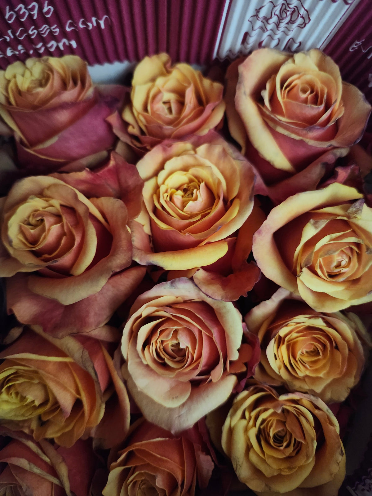 Rose Cherry Brandy 50 Cm