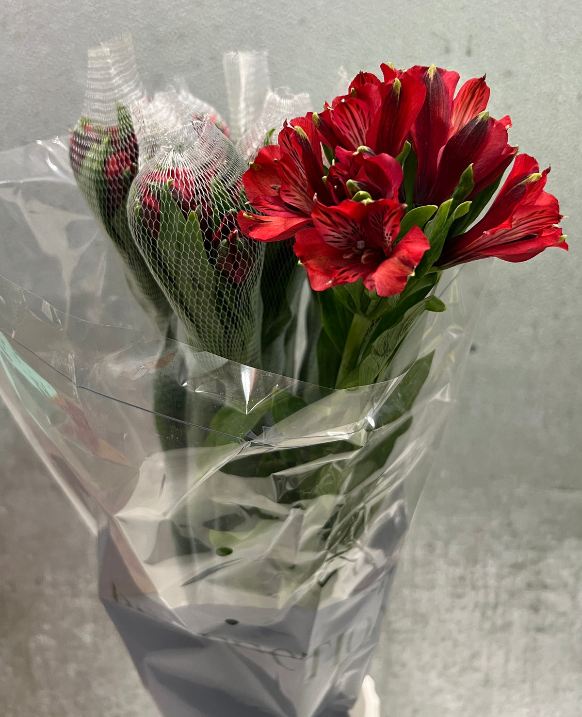 Alstromeria Perfection Red