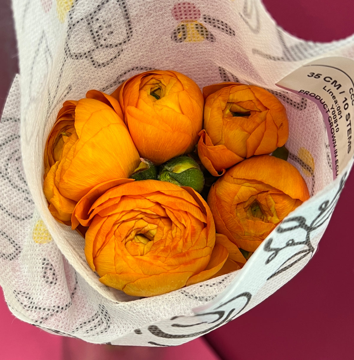 Ranunculus Orange