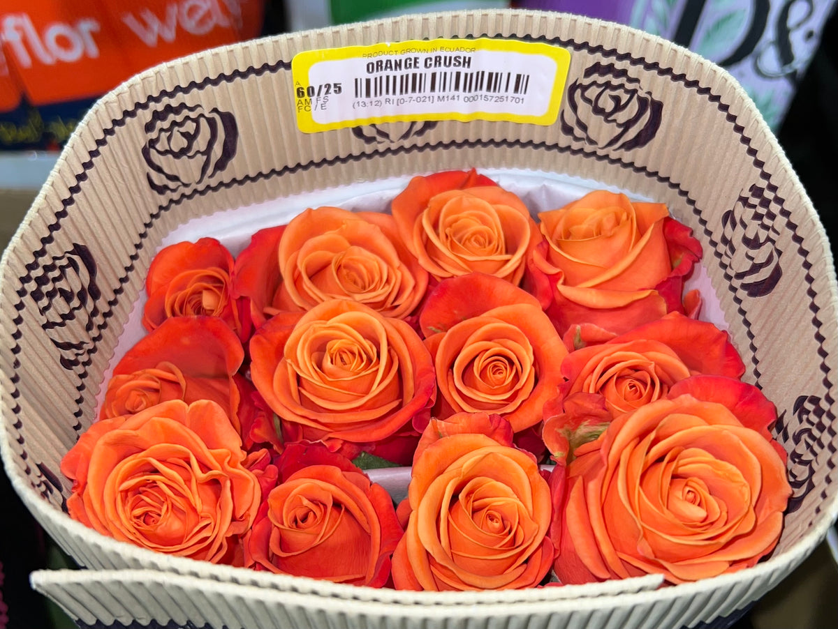 Rose Orange Crush 50 Cm
