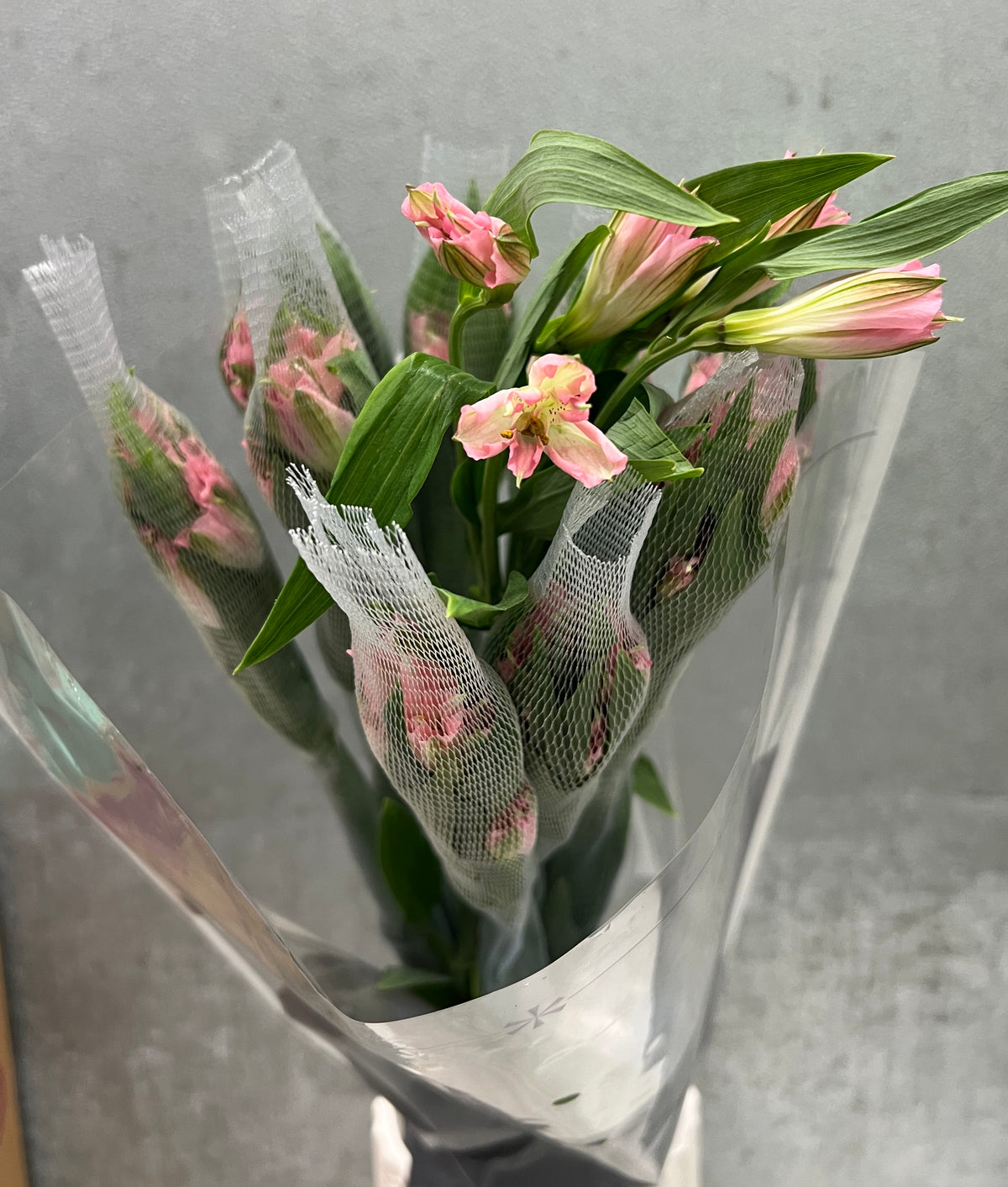 Alstromeria Premium Pink