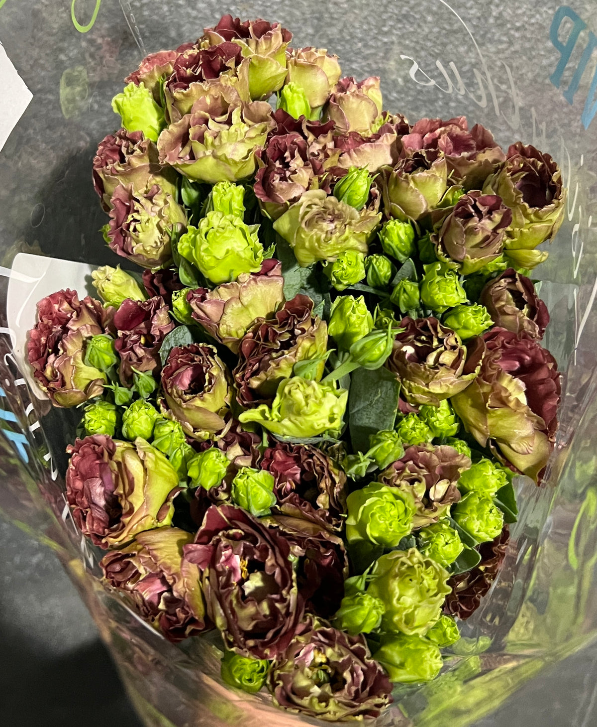 Lisianthus Brown (Seasonal)