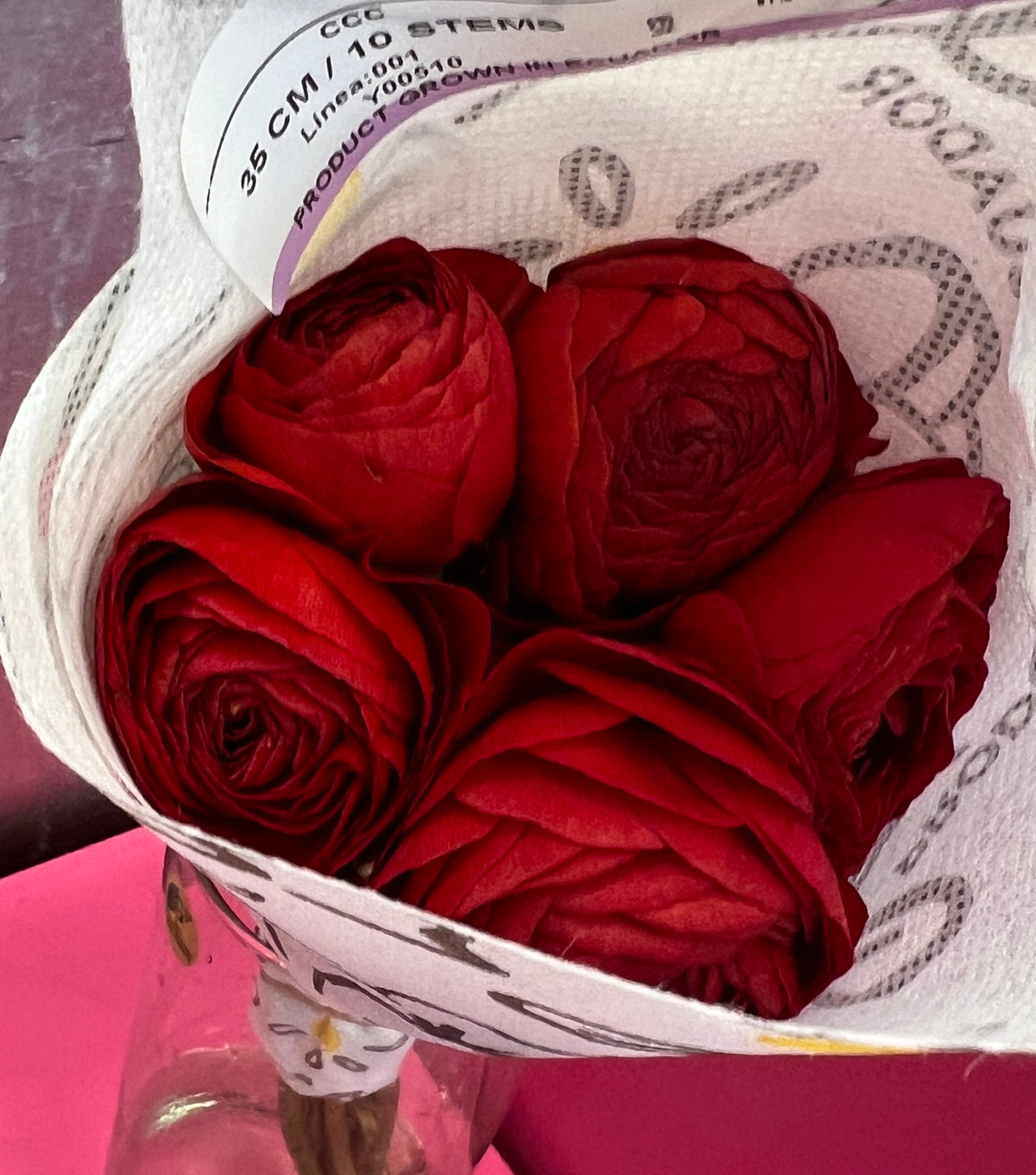 Ranunculas Red