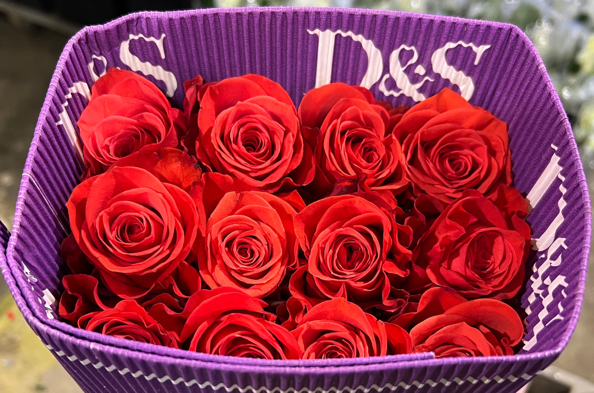 Rose New Face 50cm