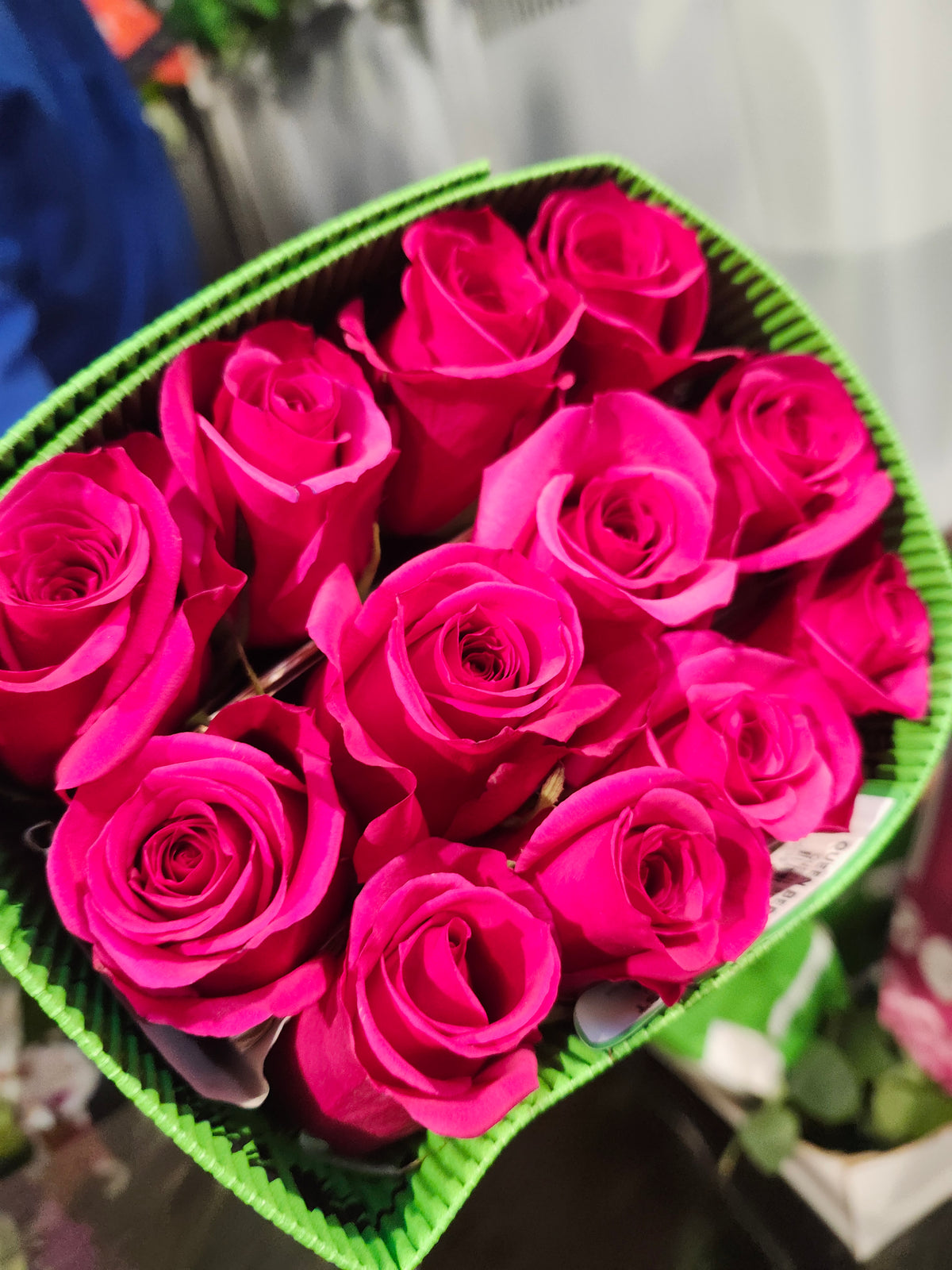 Rose Queenberry 50 cm
