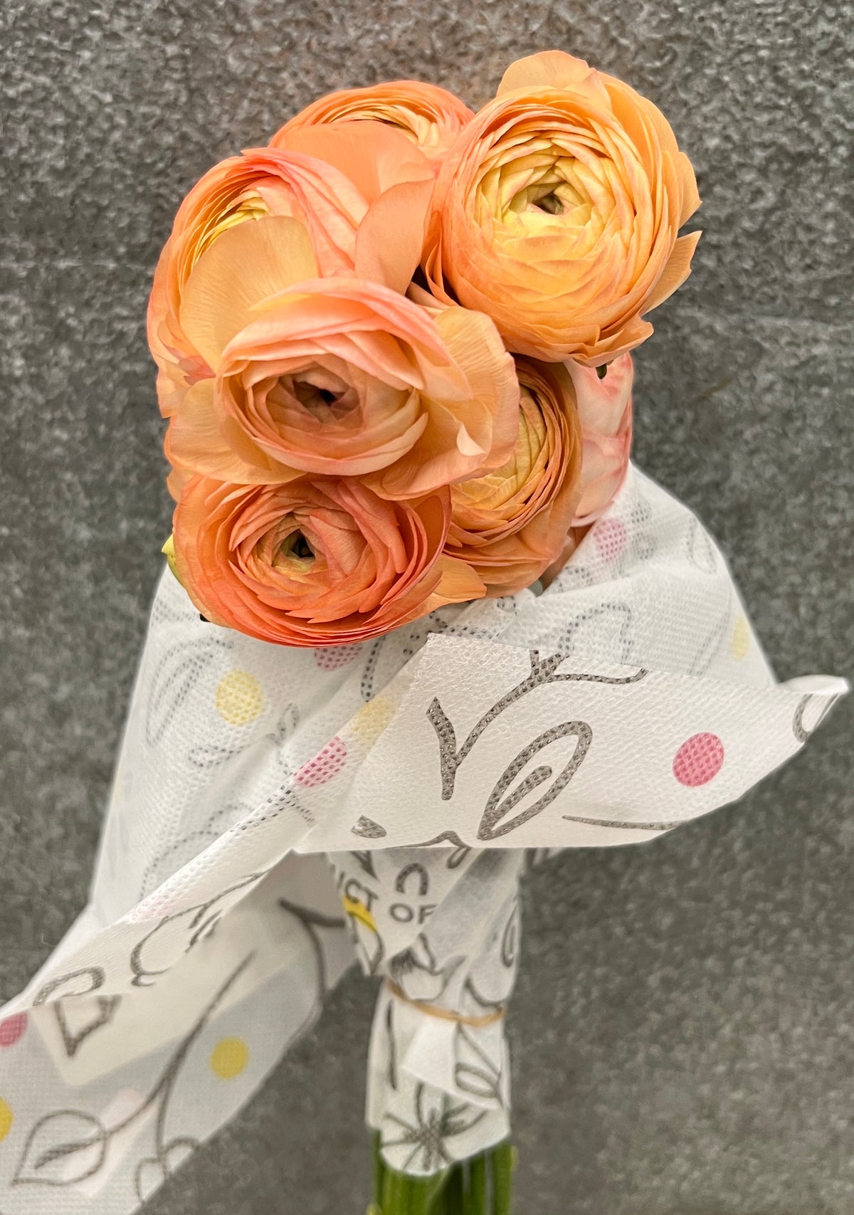 Ranunculus Peach