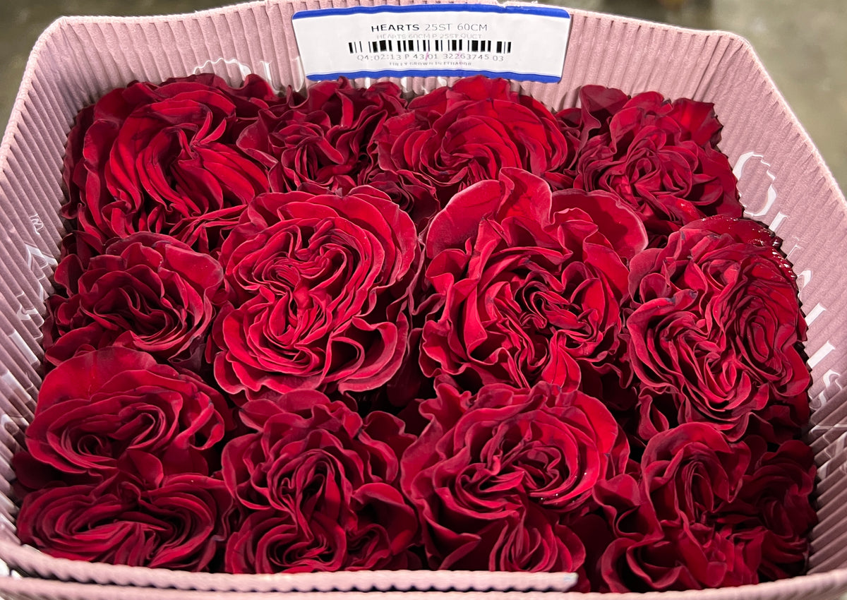 Rose Hearts 50 Cm
