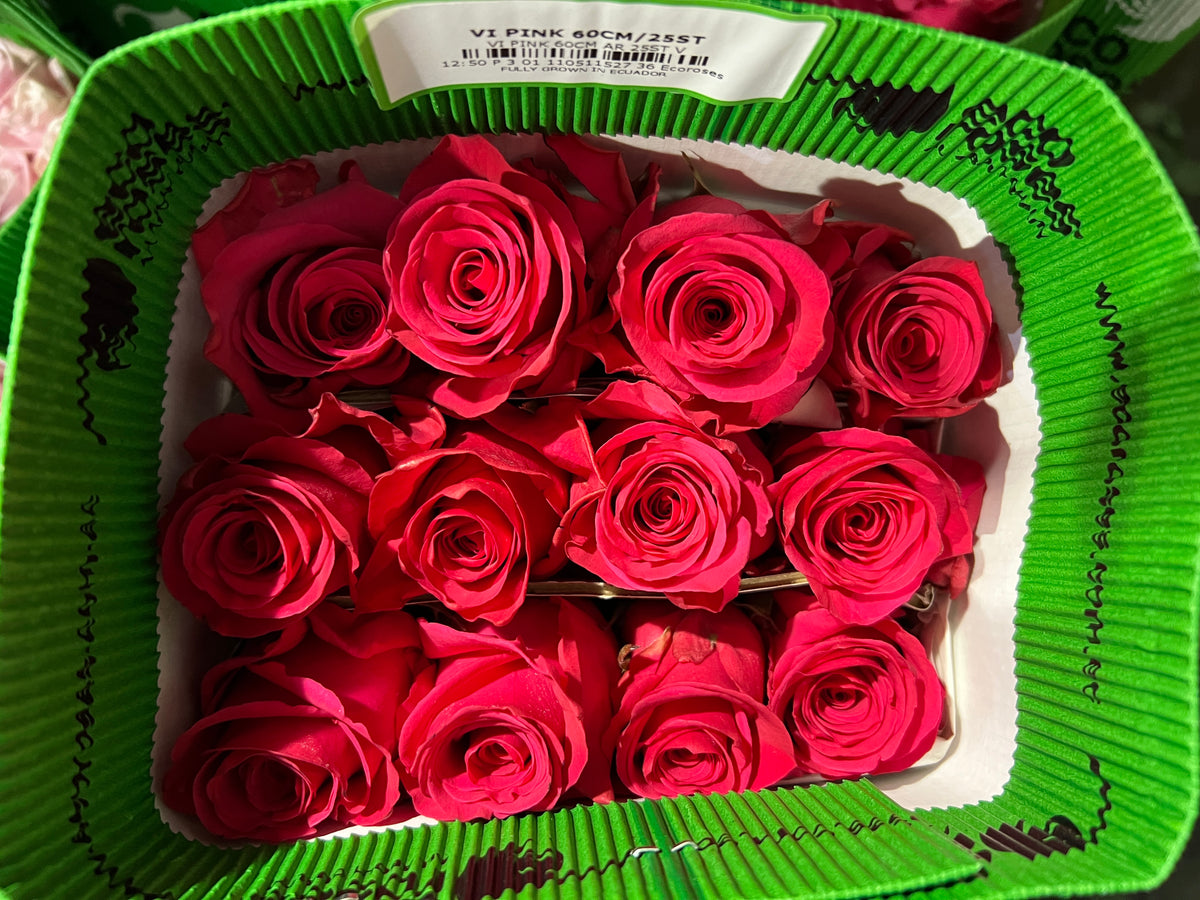 Rose VI Pink 60cm