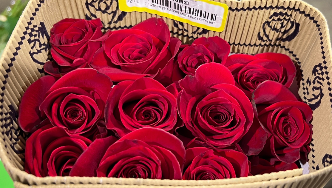 Roses