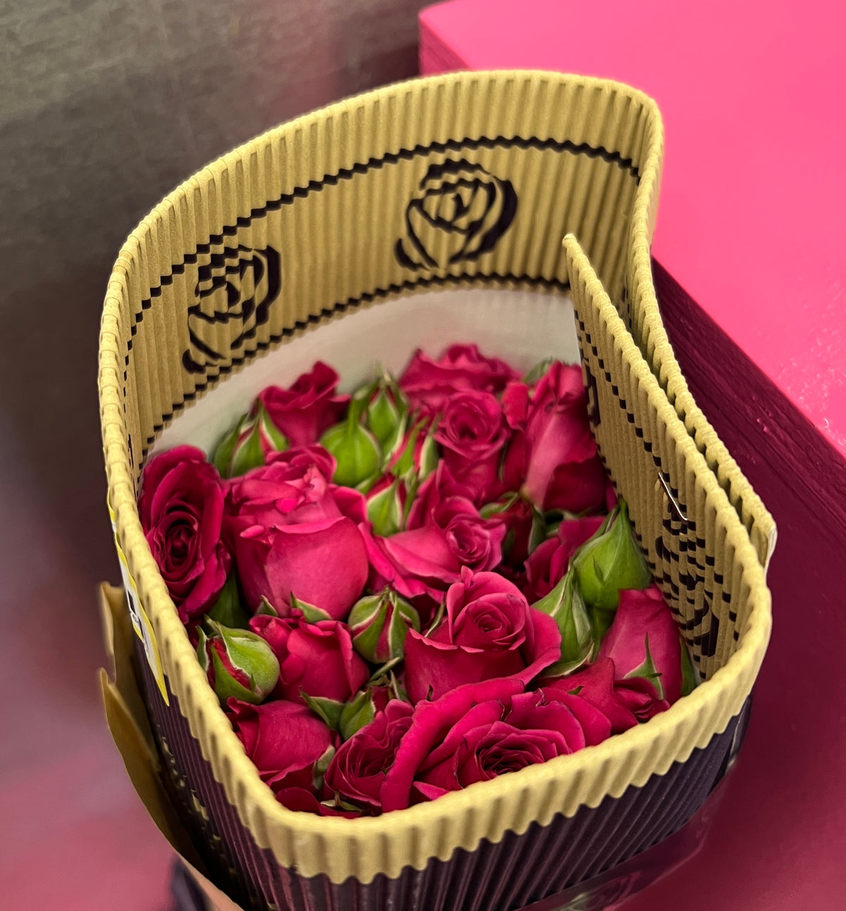 Rose Spray Hot Pink
