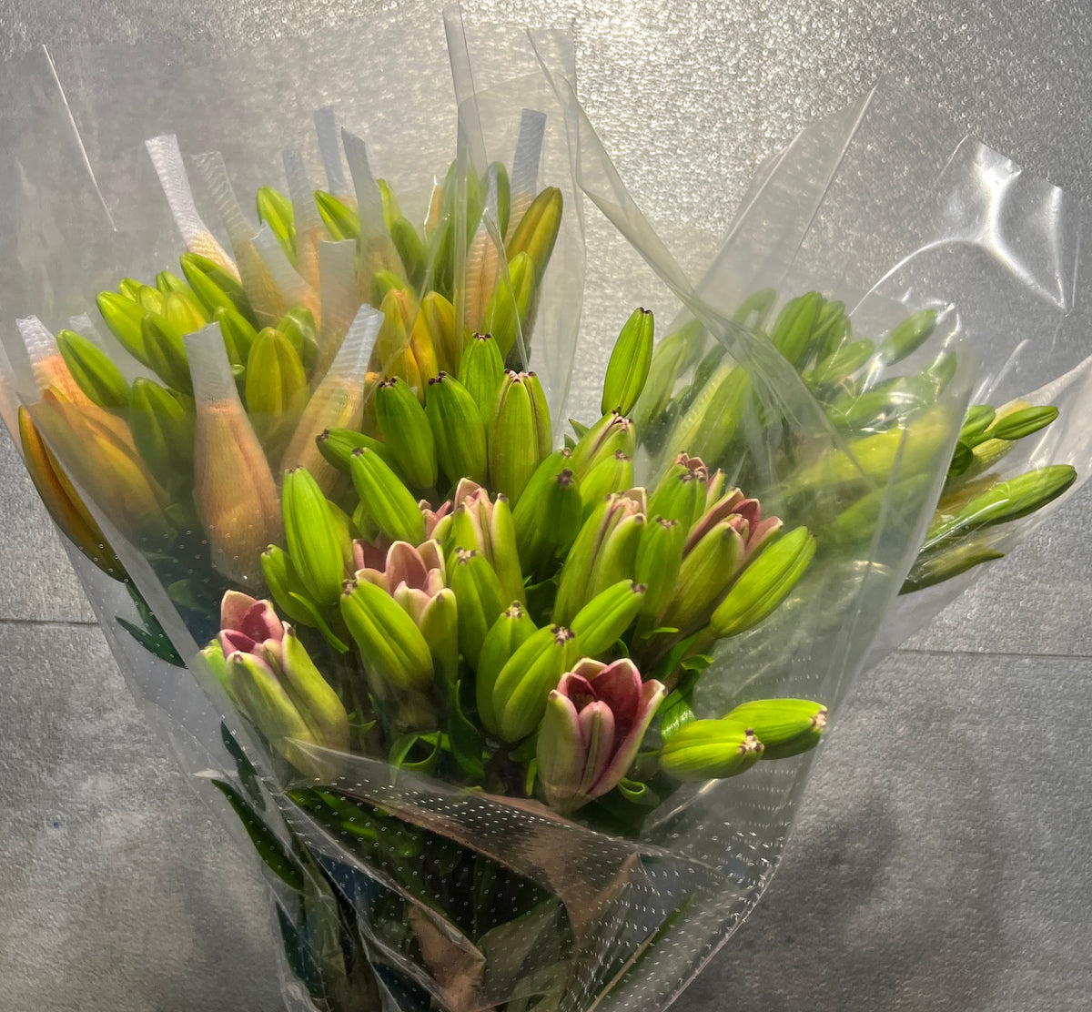 Lily Hybrid Asst