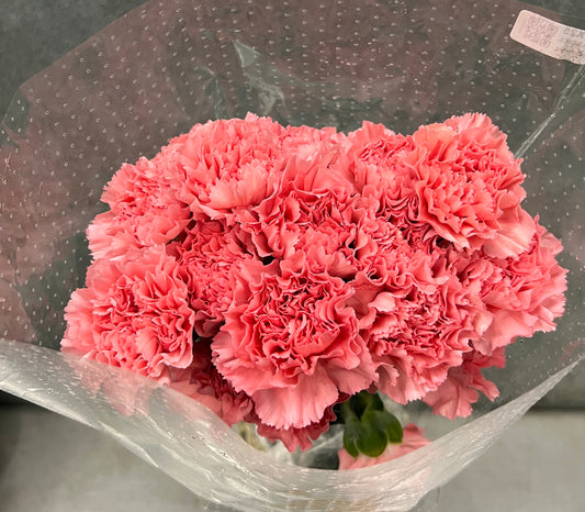 Carnation Kaori Pink