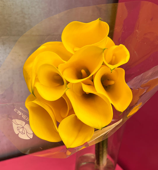 Calla Mini Gold