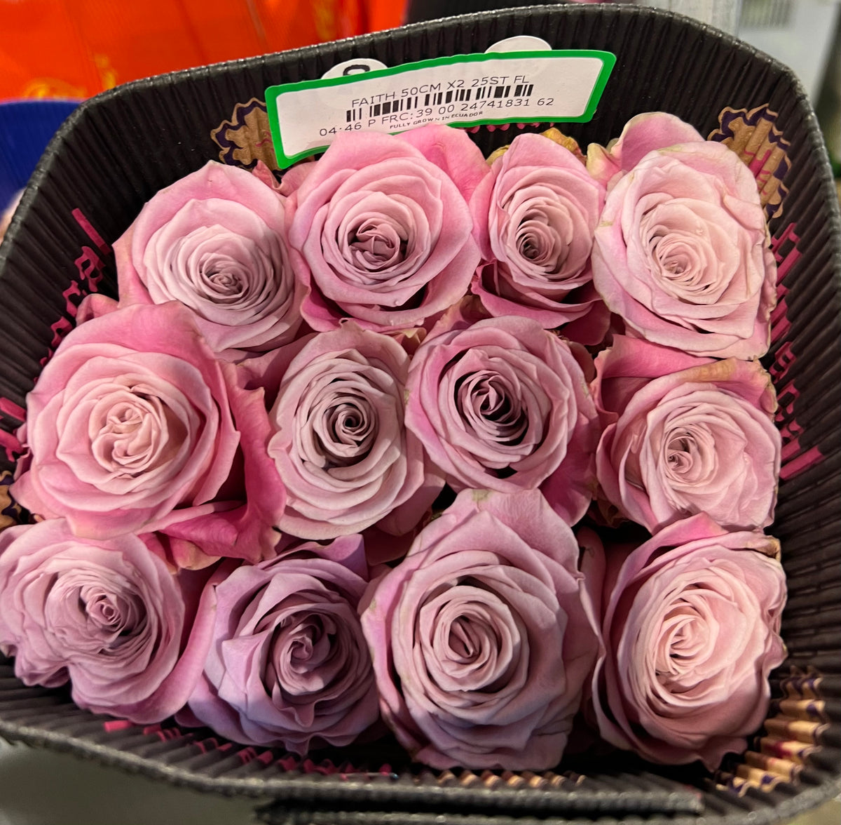 Rose Faith 50 cm