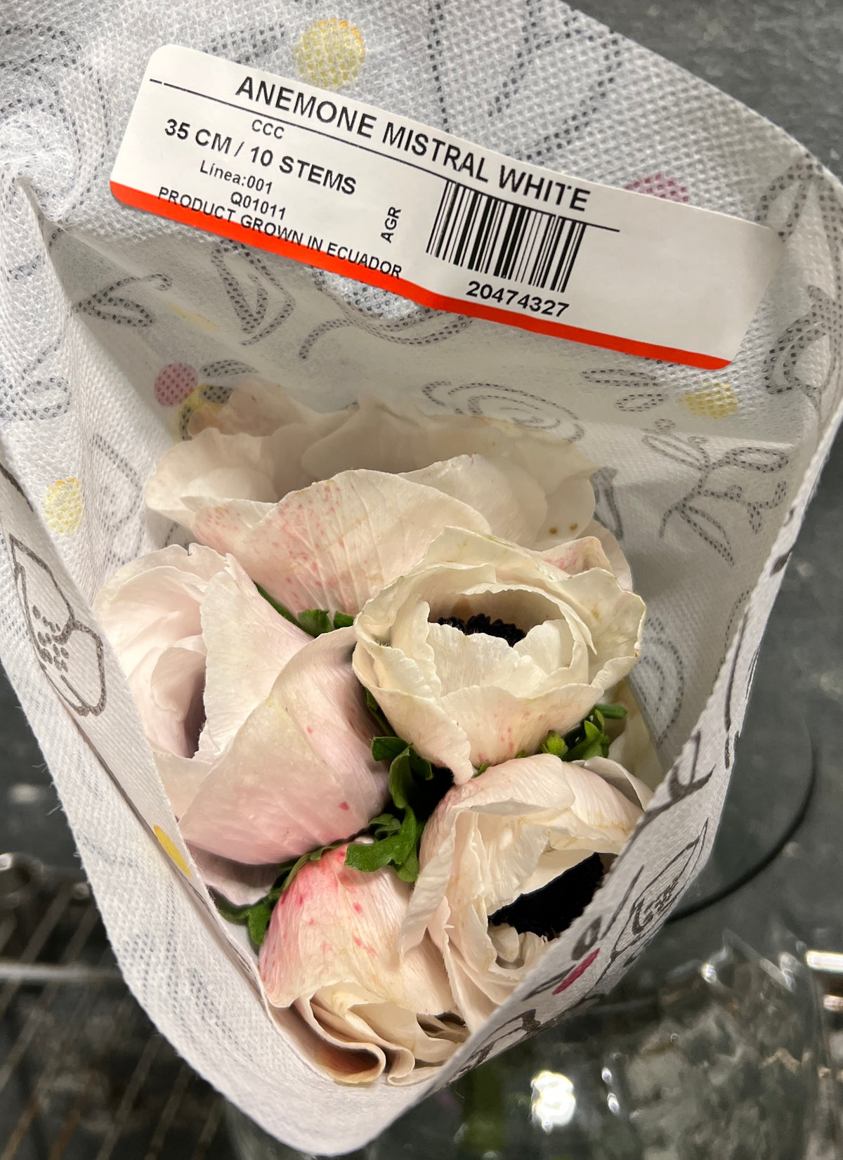 Anemones White