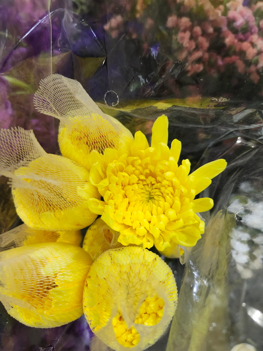 Mum Fuji Yellow
