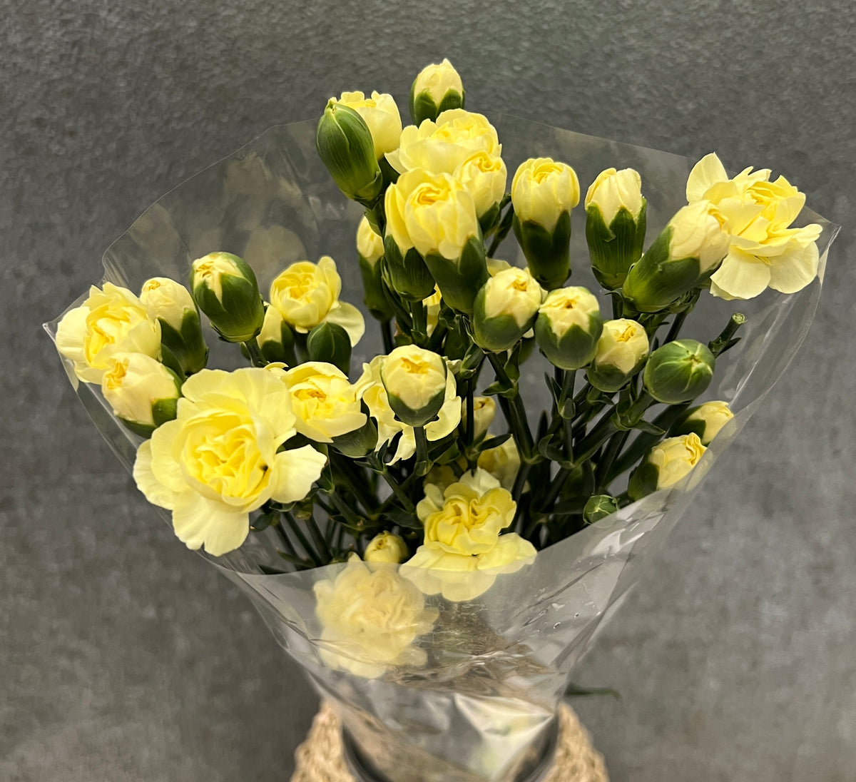 Carnation Mini Yellow
