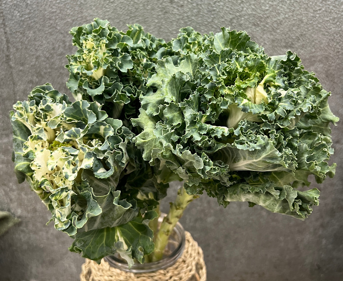 Kale