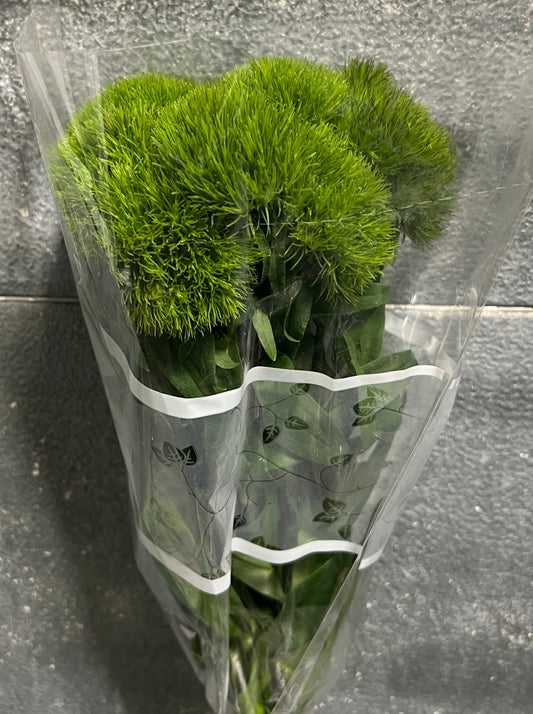Carnation Green Ball