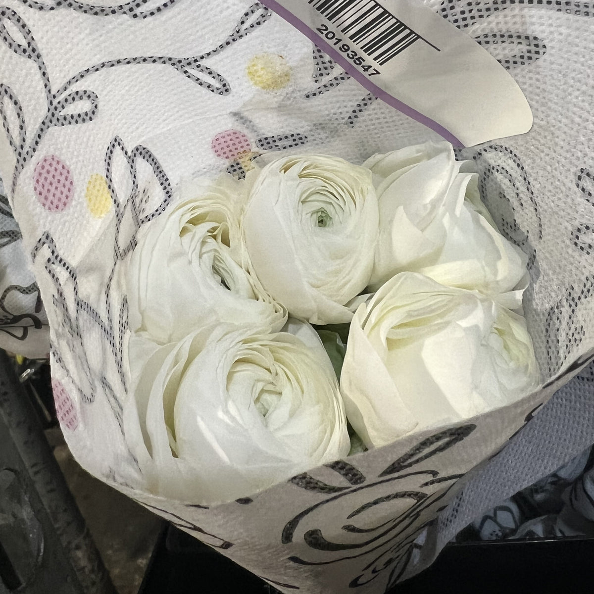 Ranunculus White