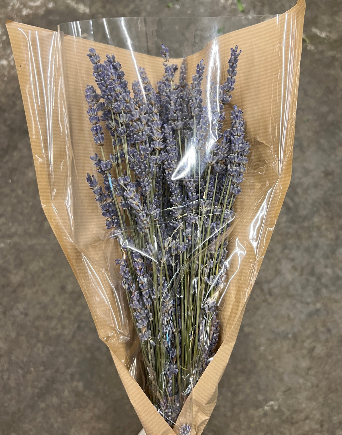 Lavender Dried