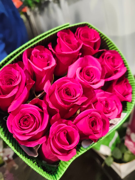 Rose Queenberry 50 cm