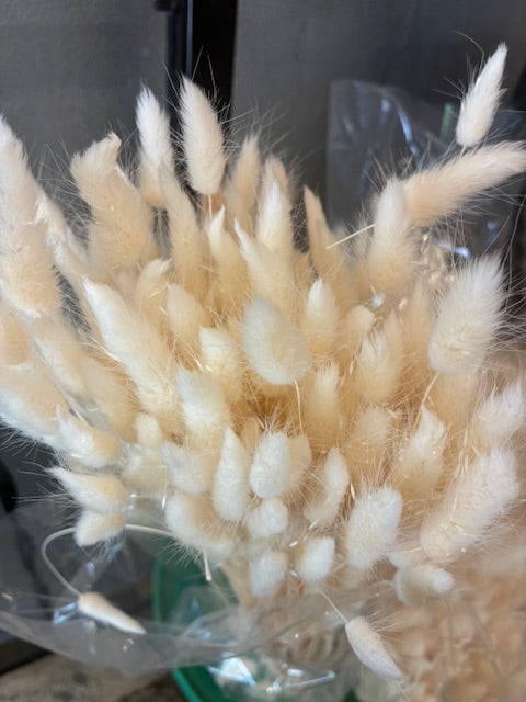 Preserved Bunny Tails