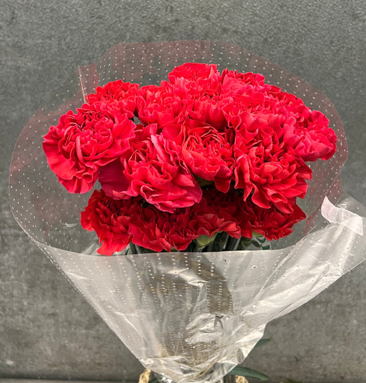 Carnation Hot Pink