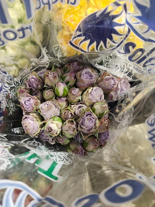 Rose Spray Ocean Song Lavender