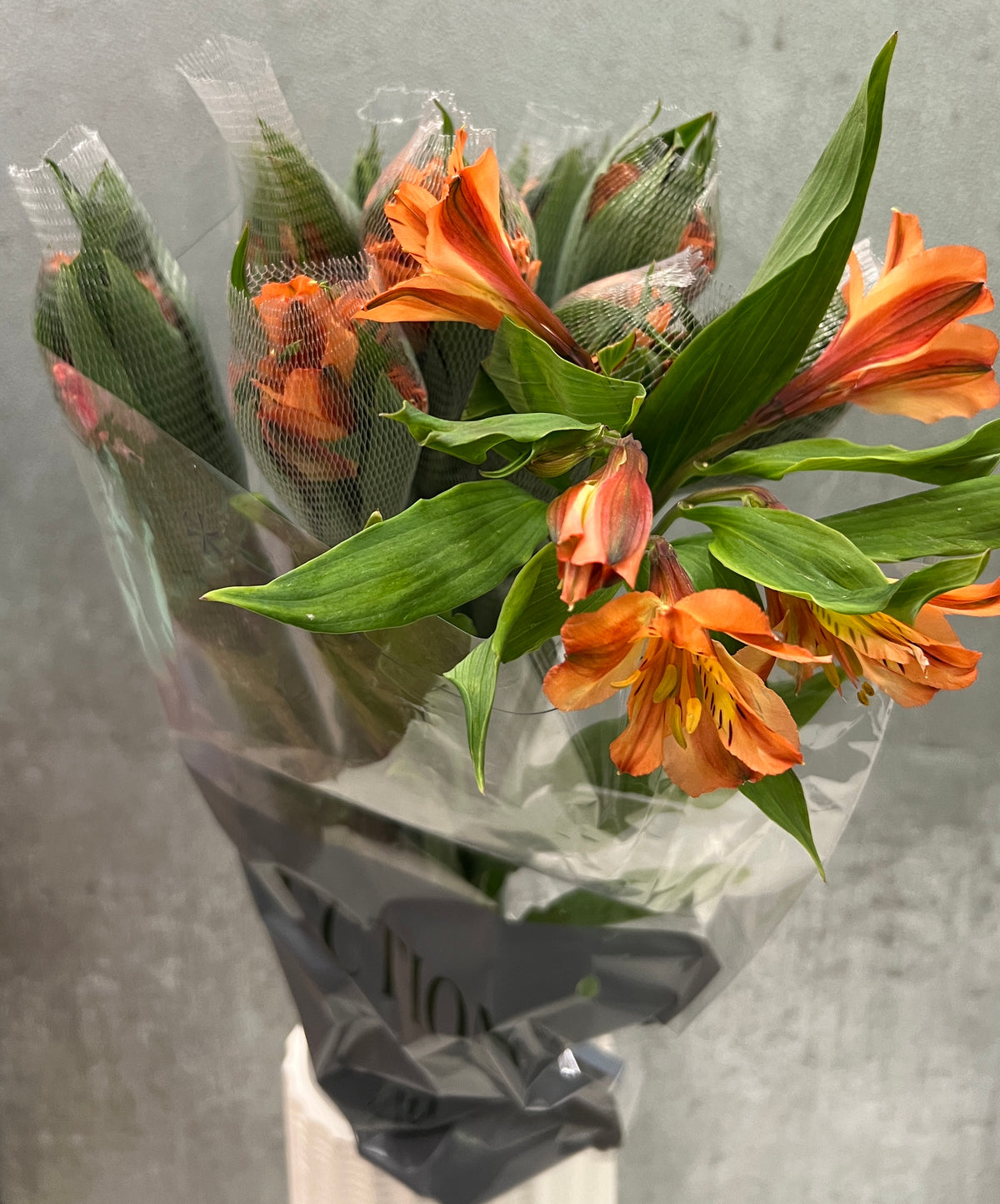 Alstromeria Premium Orange