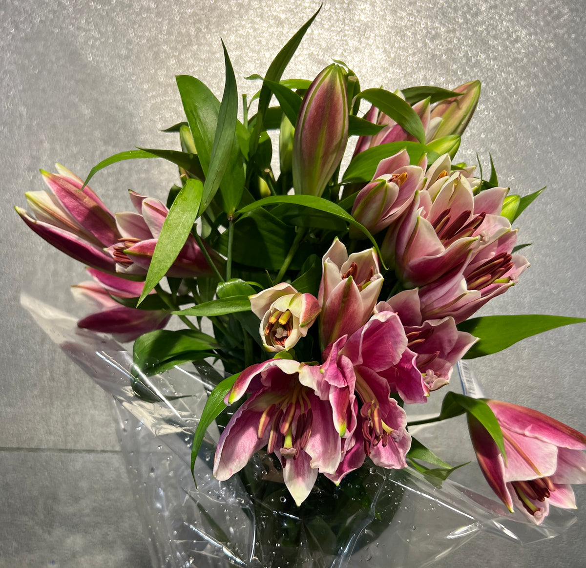 Lily Oriental Pink