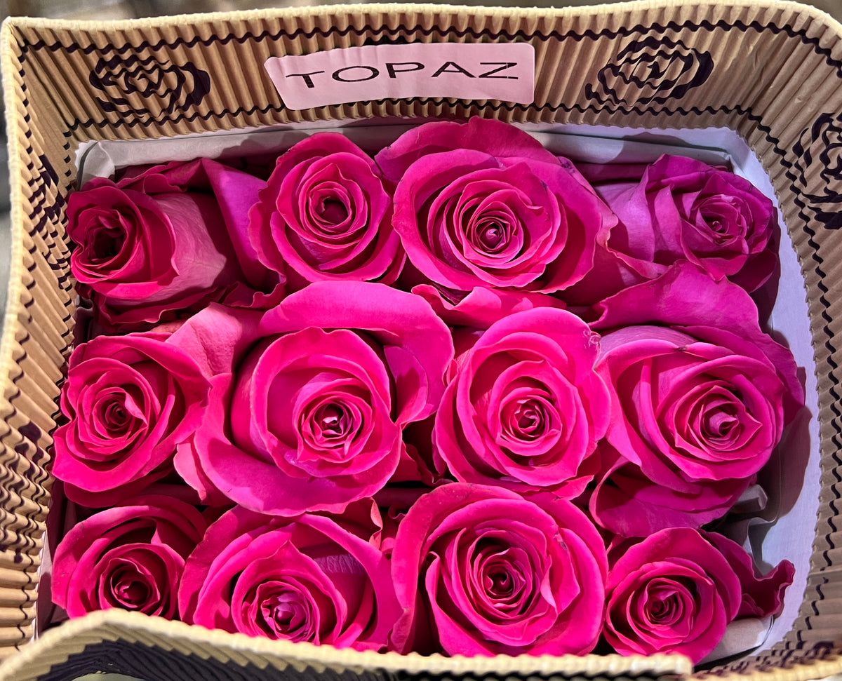 Rose Topaz 50 Cm