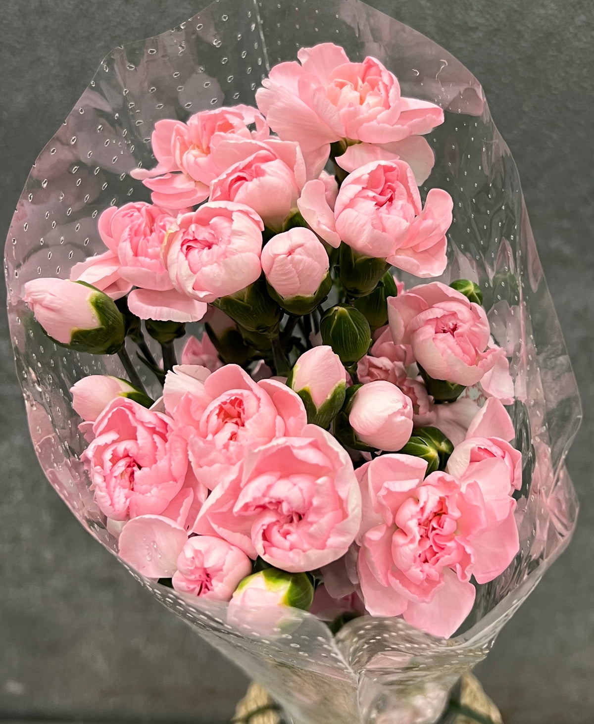 Carnation Mini Pink Bu(10)