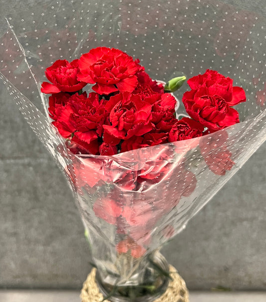 Carnation Mini Red Bu(10)