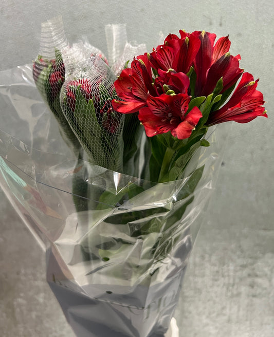 Alstromeria Perfection Red