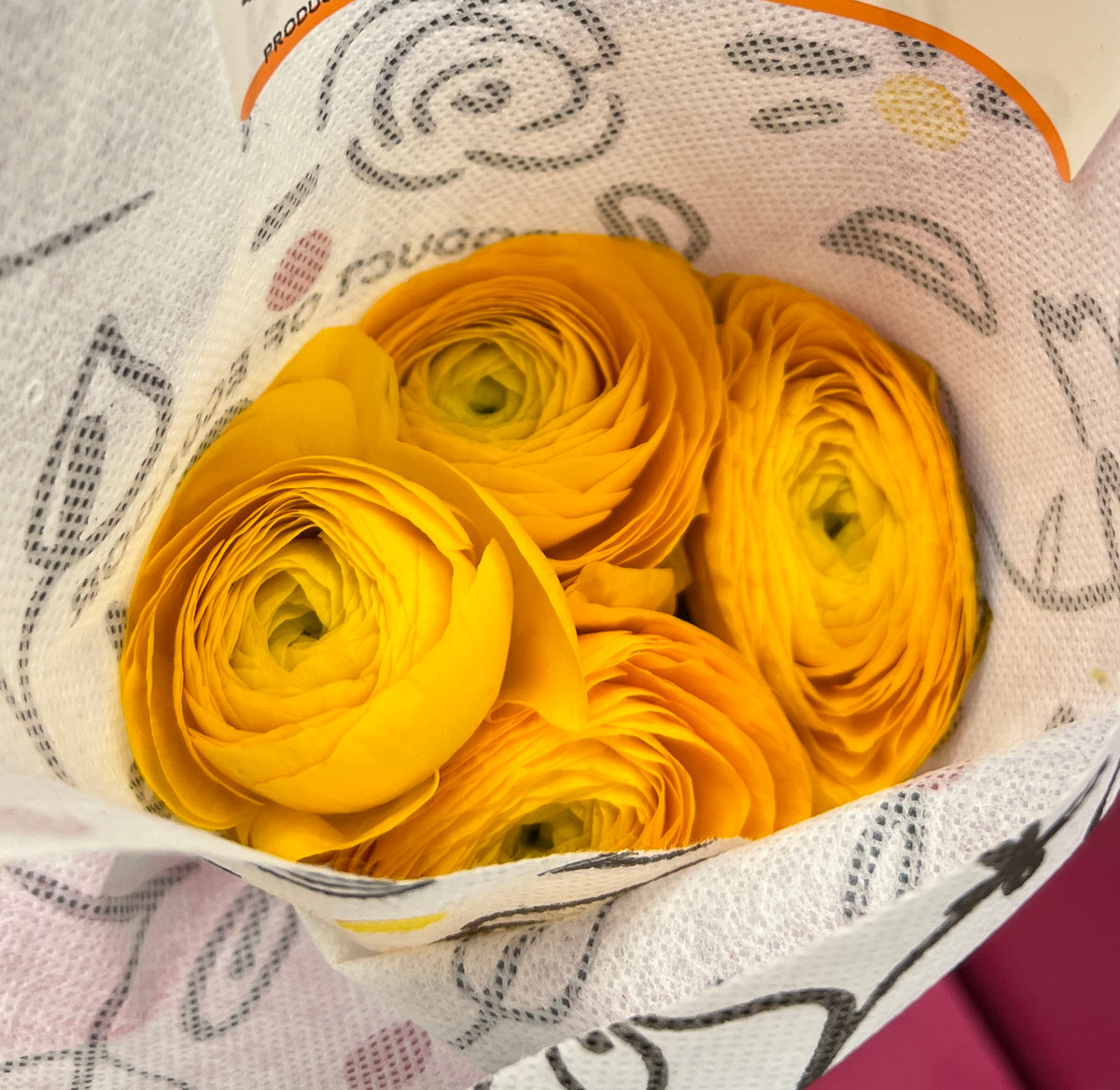 Ranunculus Yellow