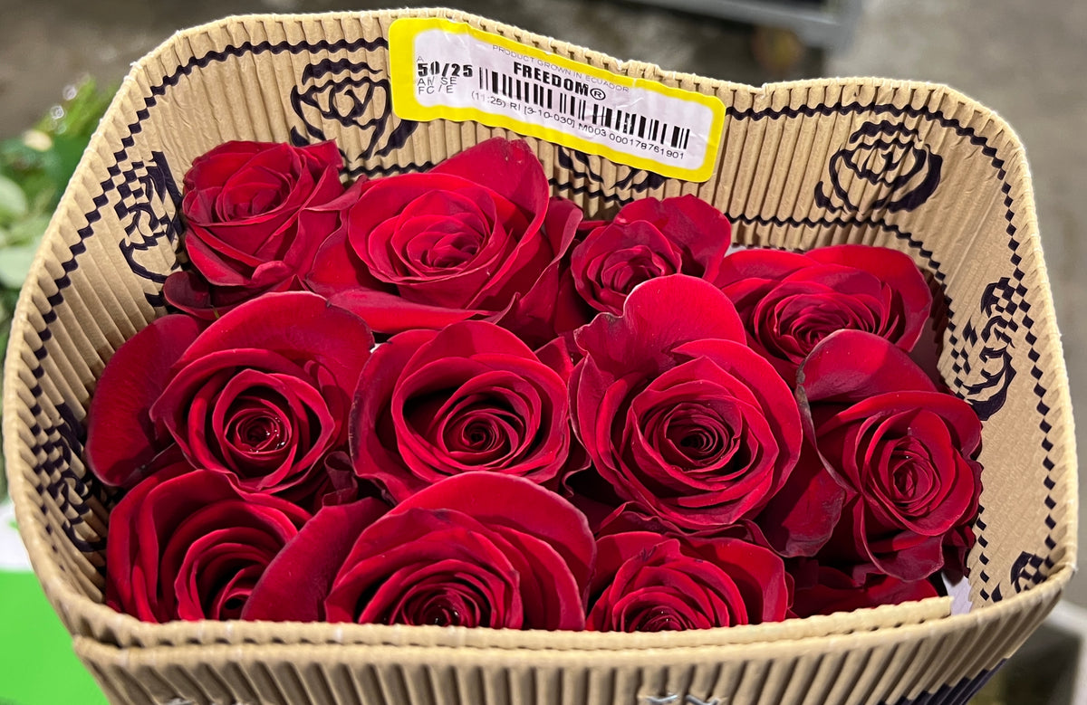 Rose Freedom 90 Cm