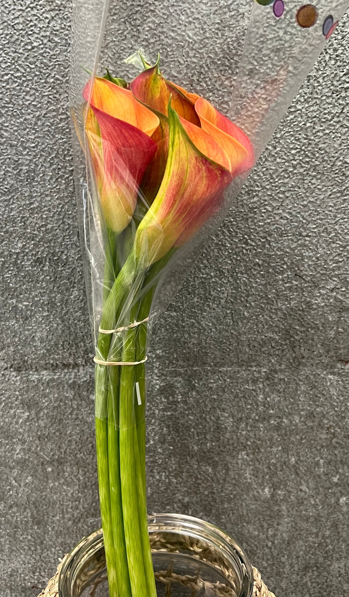 Calla Mini Mango