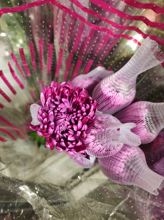 Mum Disbud Purple