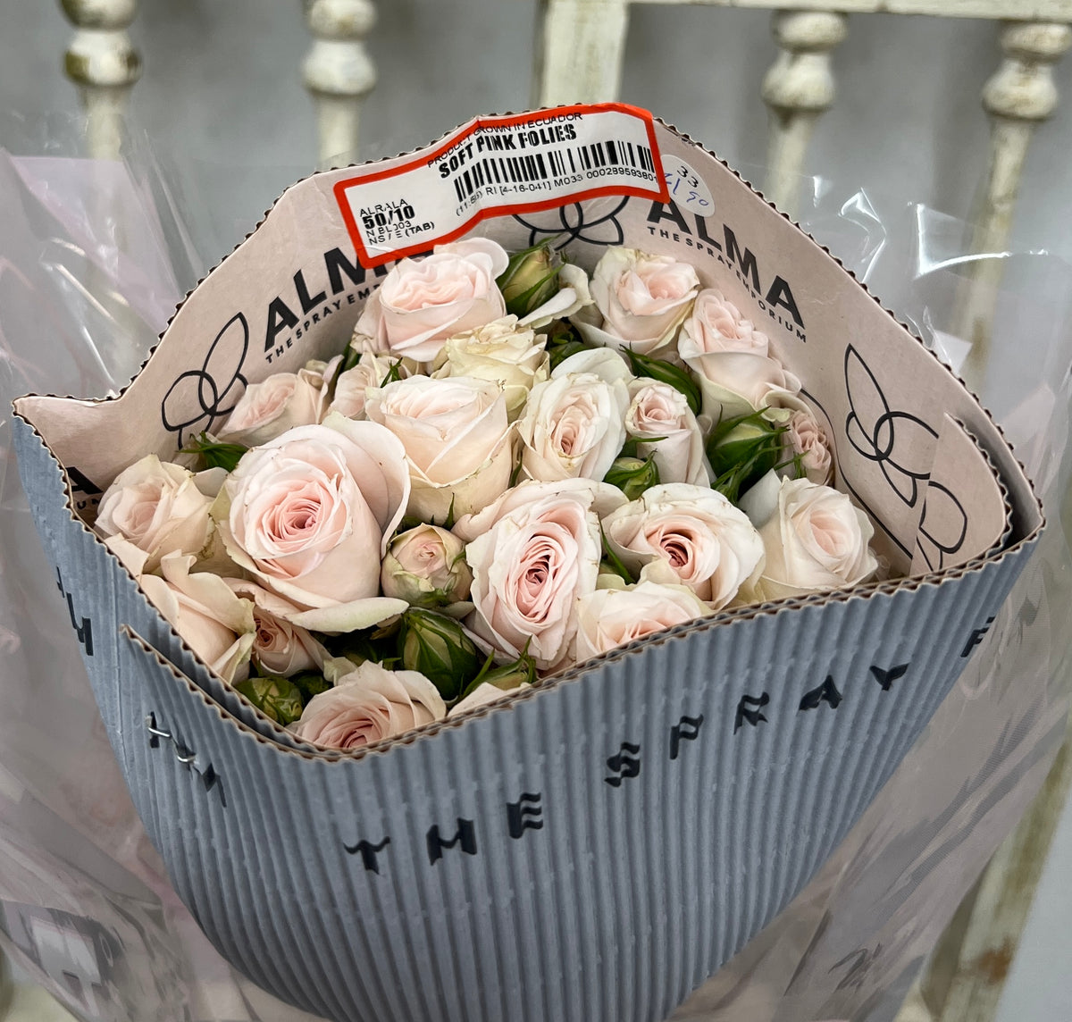 Rose Spray Soft Pink Follies