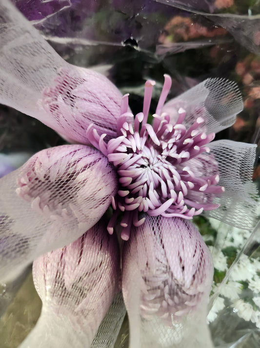 Mum Fuji Lavender