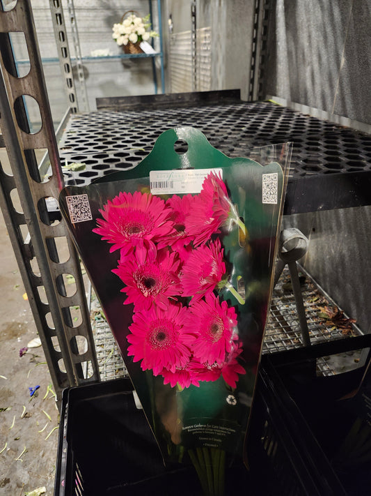 Gerb Hot Pink