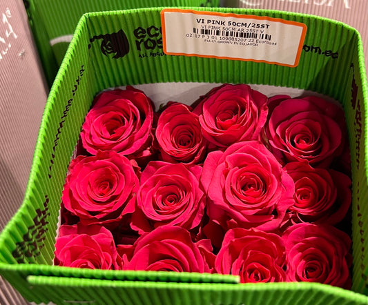 Rose VI Pink  50cm