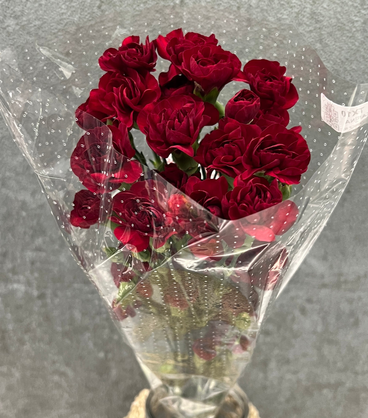 Carnation Mini Burgundy