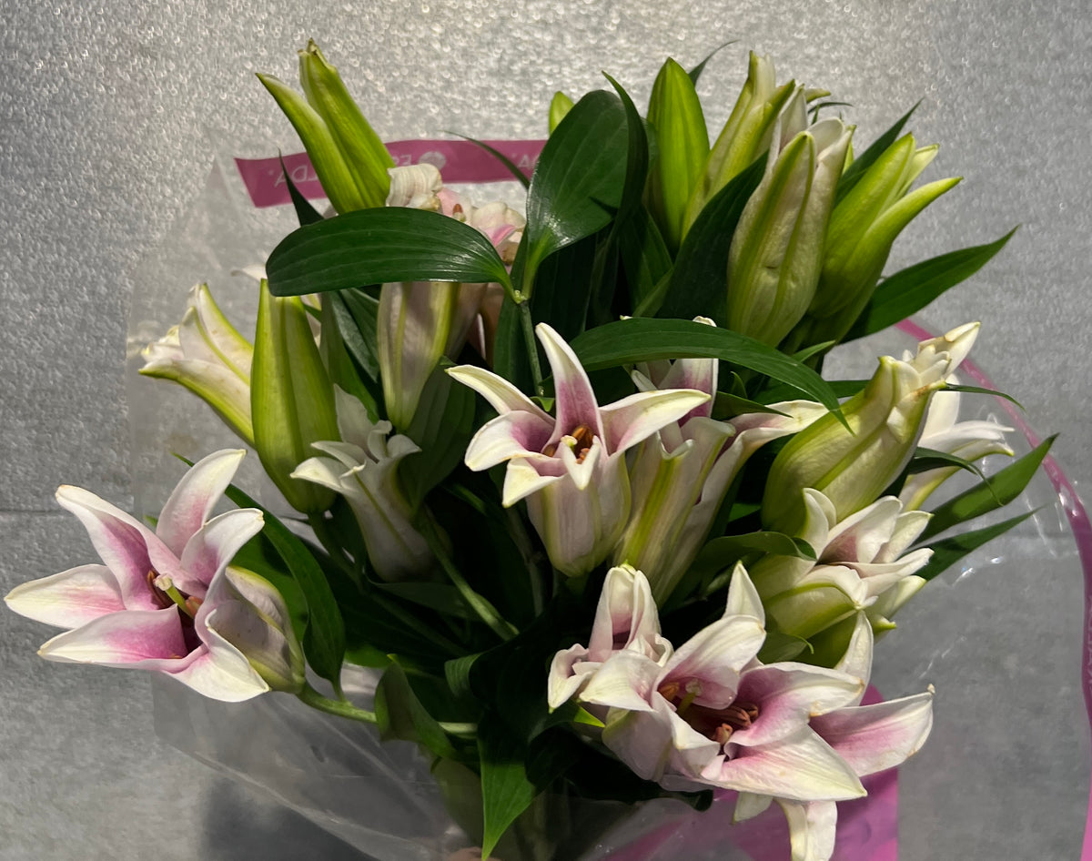 Lily Oriental Sorbonne